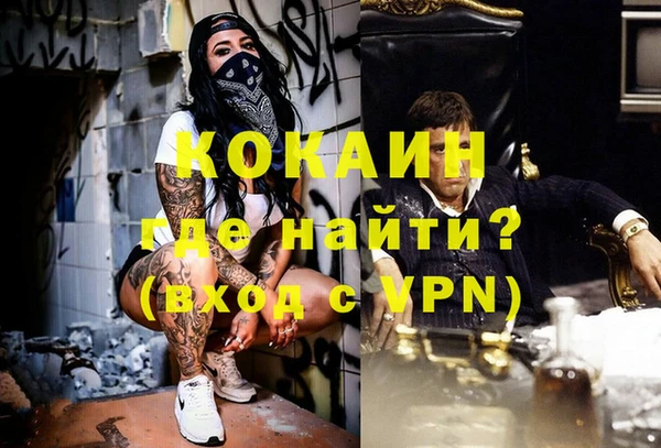 дживик Верхний Тагил