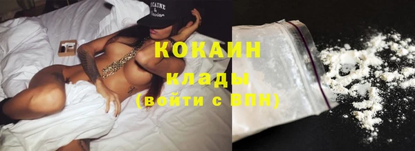 дживик Верхний Тагил