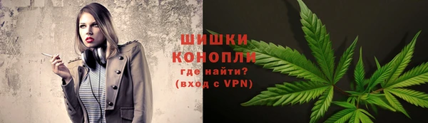 прущие грибы Богородицк