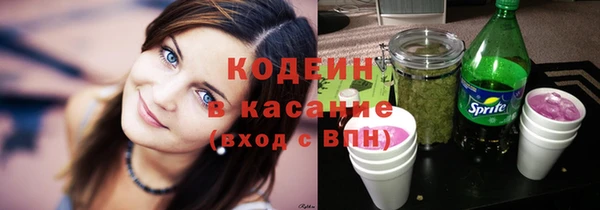 прущие грибы Богородицк