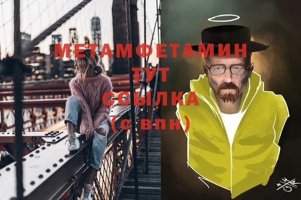 прущие грибы Богородицк