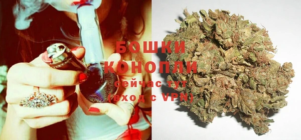 прущие грибы Богородицк