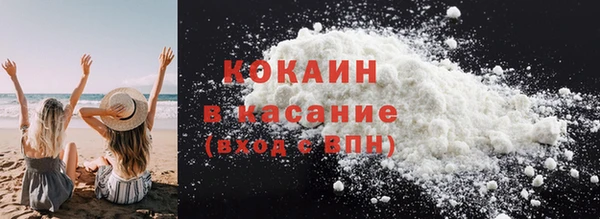 прущие грибы Богородицк