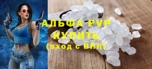 прущие грибы Богородицк