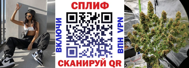 магазин  наркотиков  Задонск  МАРИХУАНА ГИДРОПОН 